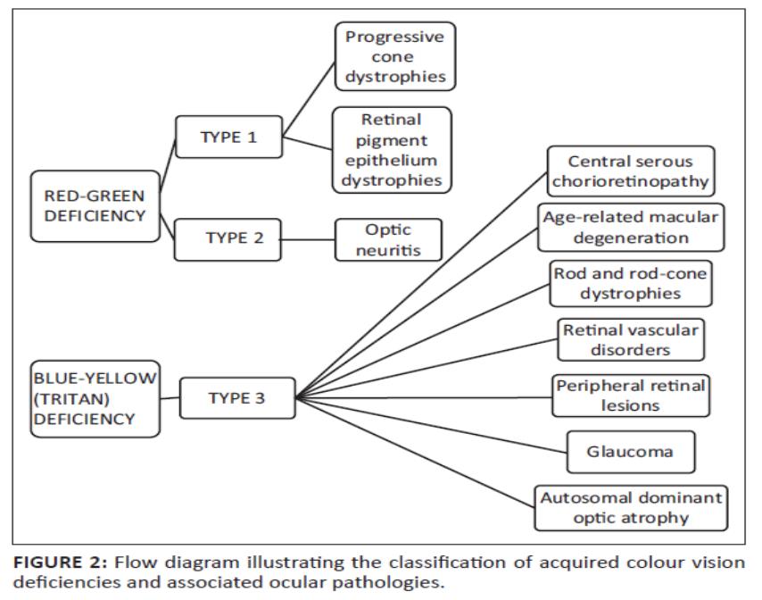 Flow diagram classifying acquired colour vision deficiencies and associated ocular pathologies
