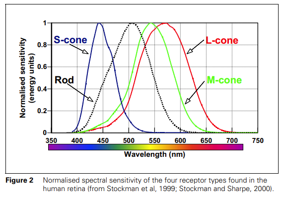 Normalised spectral sensitivity curves of the S, M and L cones and rods