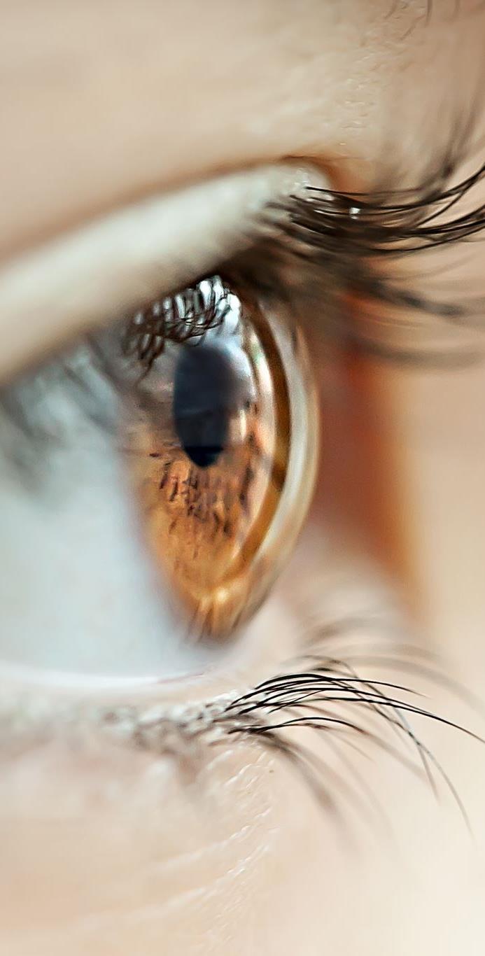 Close-up side view of an eye