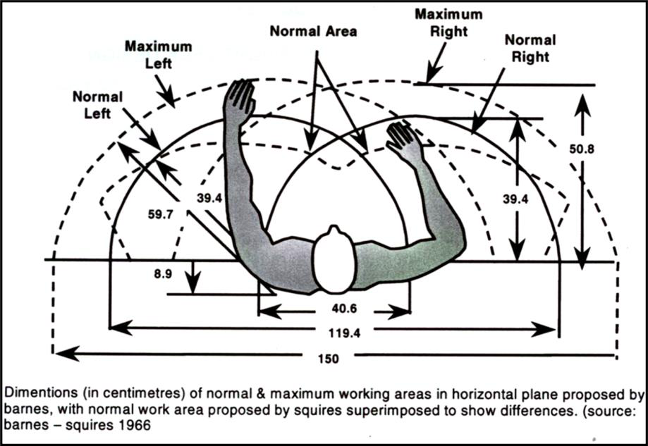 Diagram of normal and maximum working areas in the horizontal plane (Barnes and Squires)