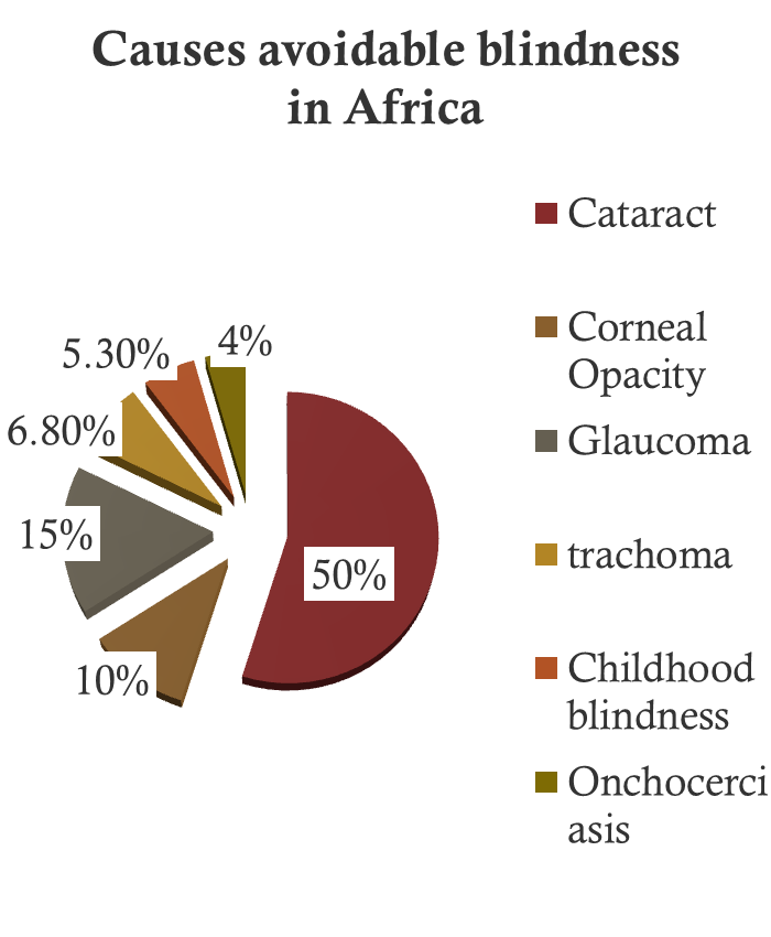 Pie chart of causes of avoidable blindness in Africa - cataract 50%