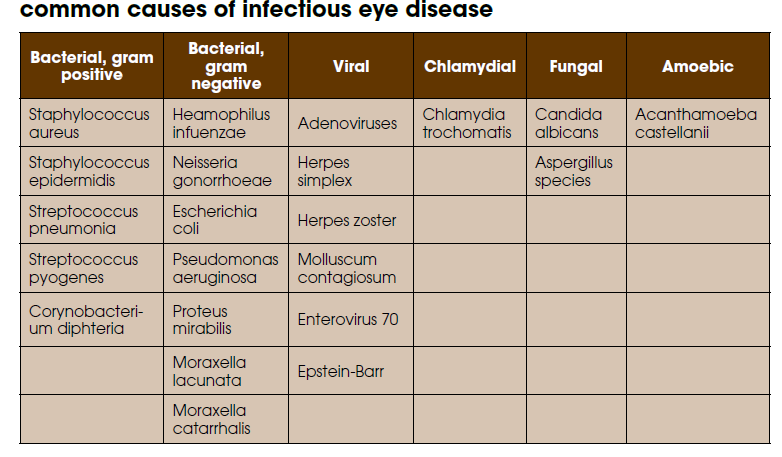 Table of common bacterial, viral, chlamydial, fungal and amoebic causes of infectious eye disease