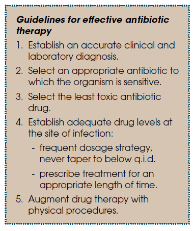Guidelines for effective antibiotic therapy, five steps from accurate diagnosis to augmenting drug therapy with physical procedures