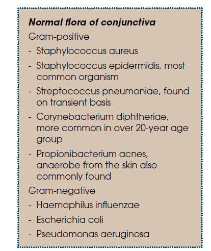 Normal flora of the conjunctiva: gram-positive and gram-negative organisms